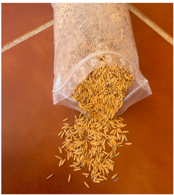Rice husk