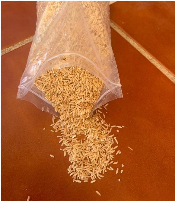 Arroz fuera de especificación